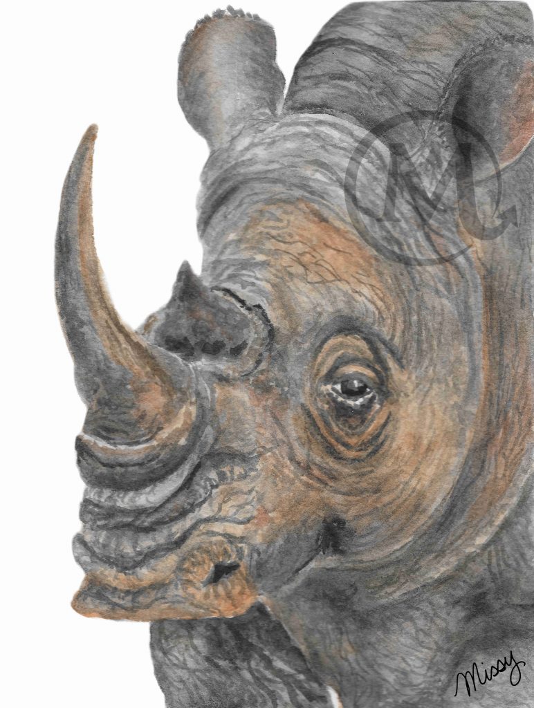 Goliath the Rhino