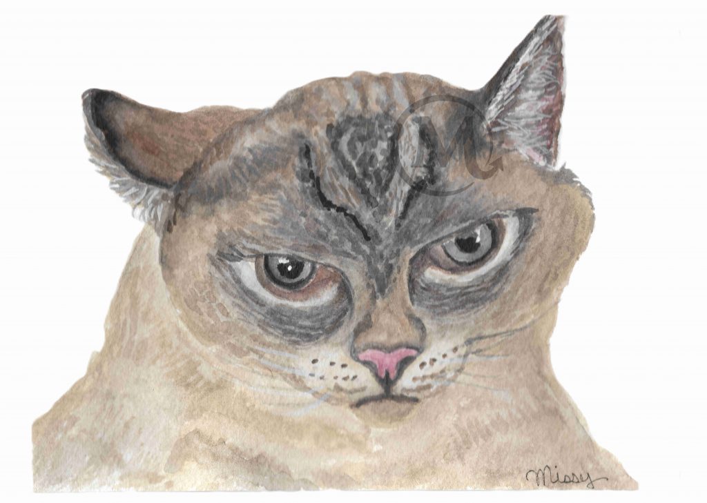 Milo the Cat