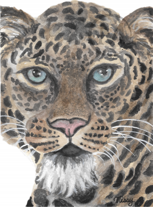 Sheba the Leopard