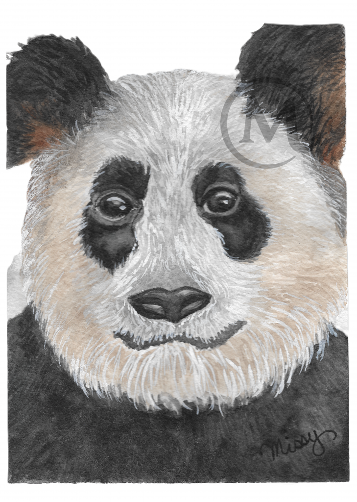 Gonzo the Panda