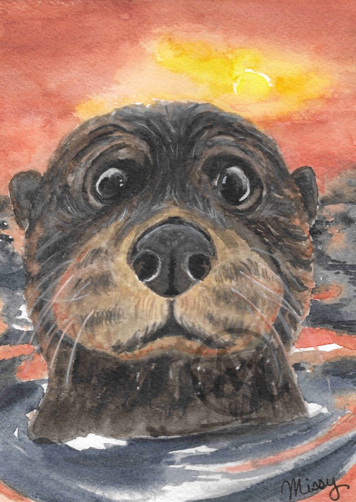 Douglas the Otter