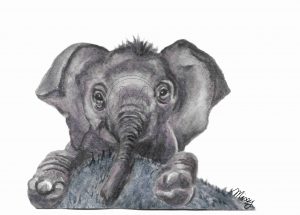 Sabastian the elephant