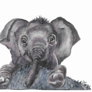 Sabastian the elephant