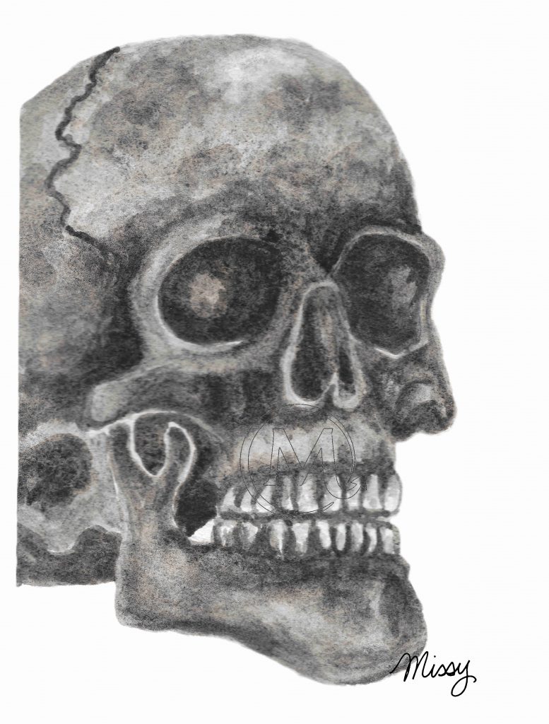 Frank the Skull