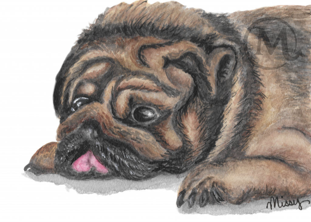 Otis the Pug