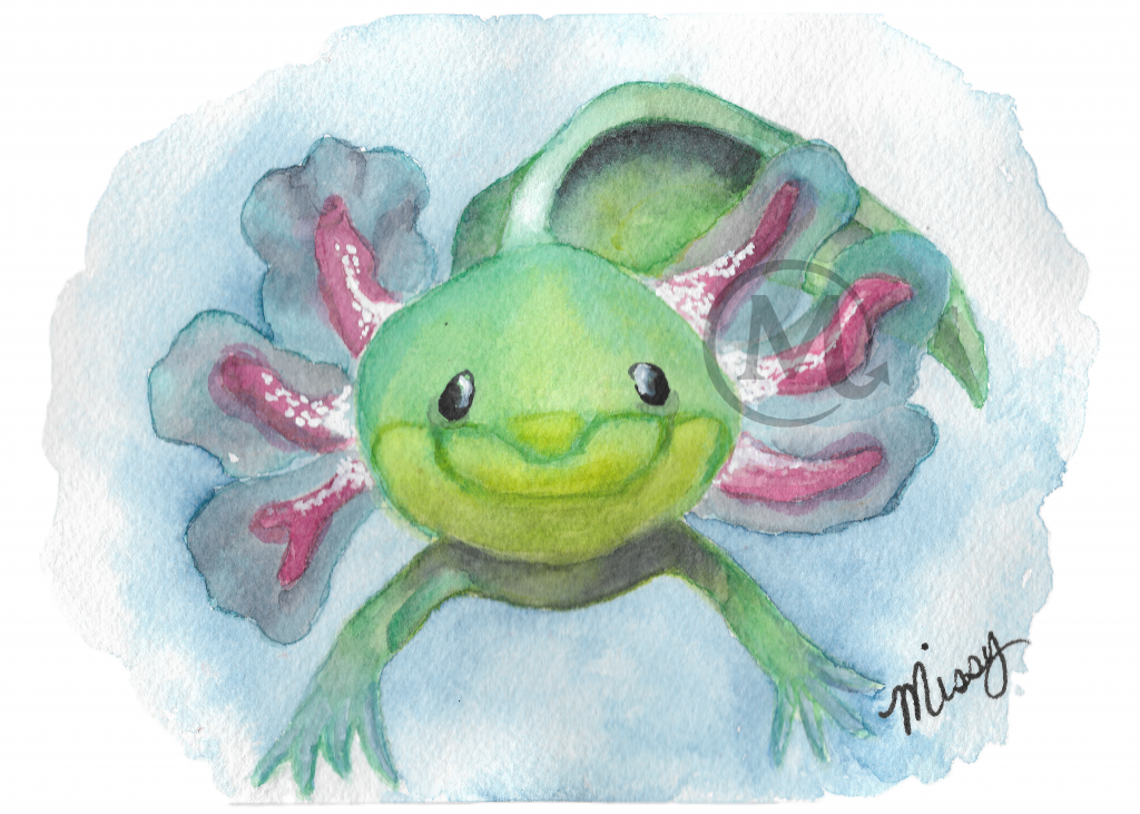 Alex the Axolotl