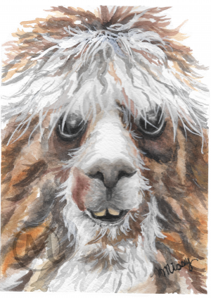 Henry the Llama