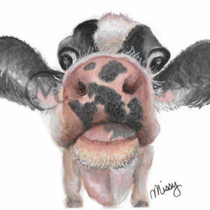 Sparkle the Cow