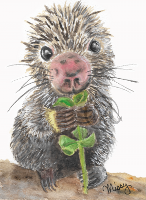 Tickles the Porcupine