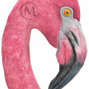 Earnest the Flamingo