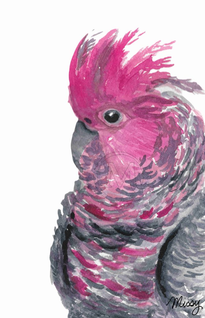 The bird