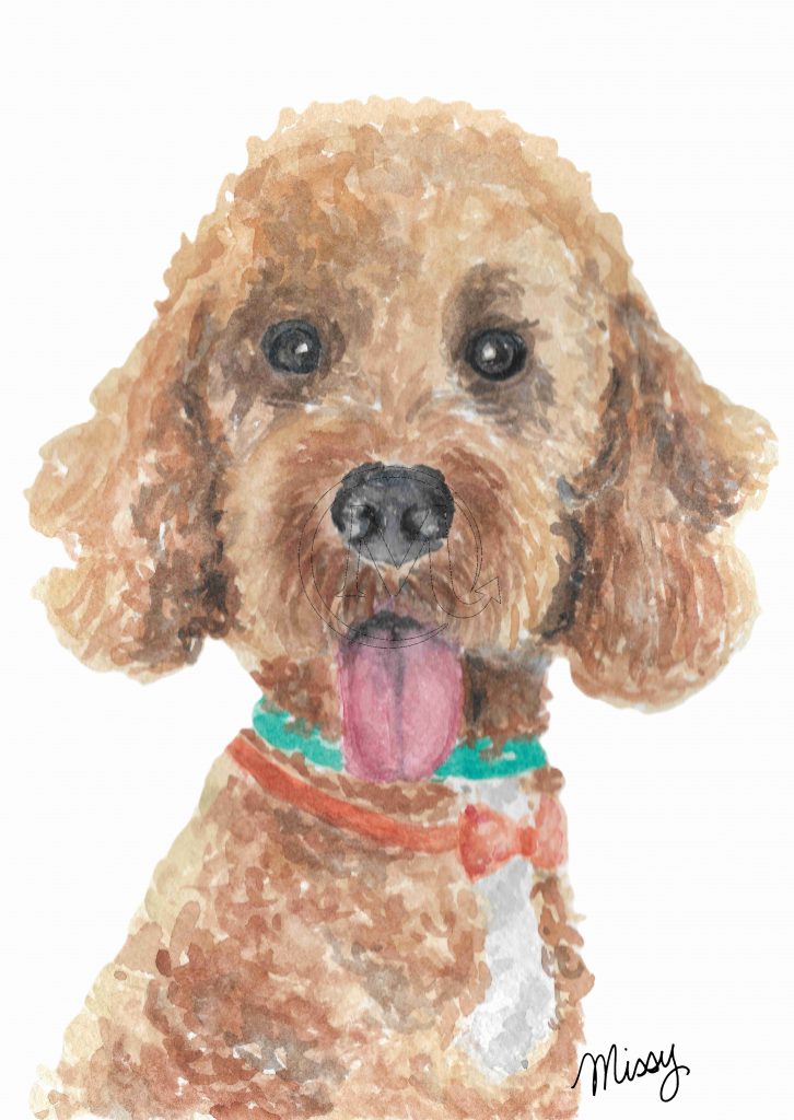 The dog