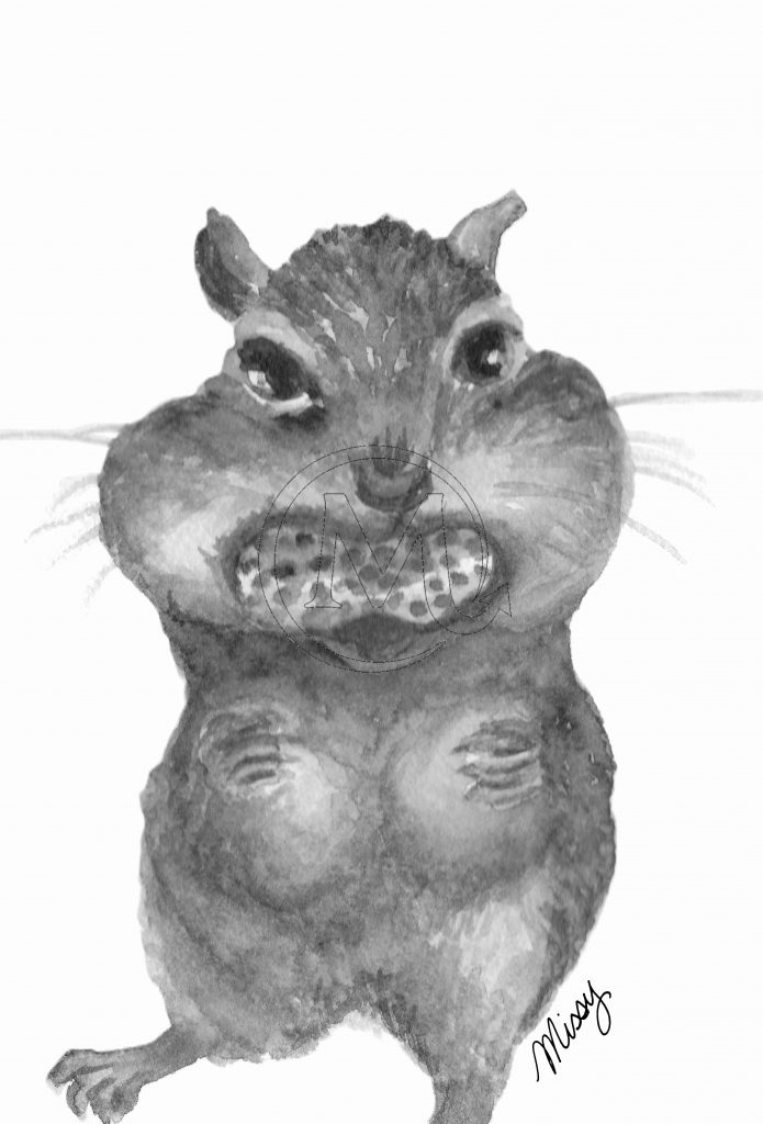 The chipmonk