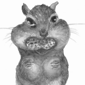 The chipmonk