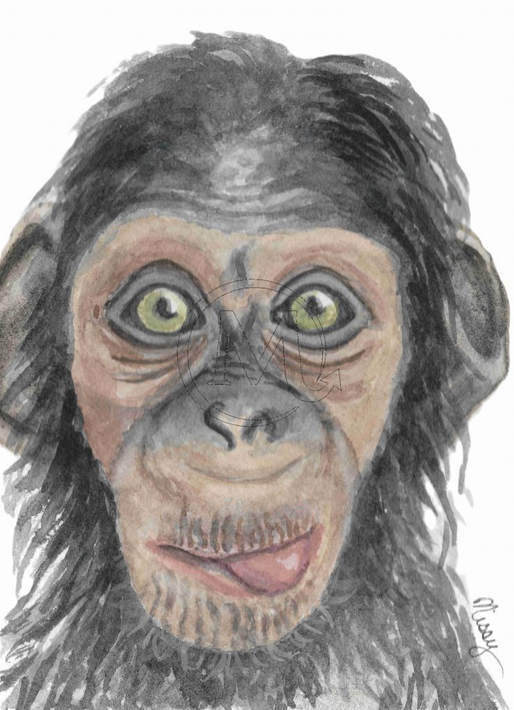 The monkey
