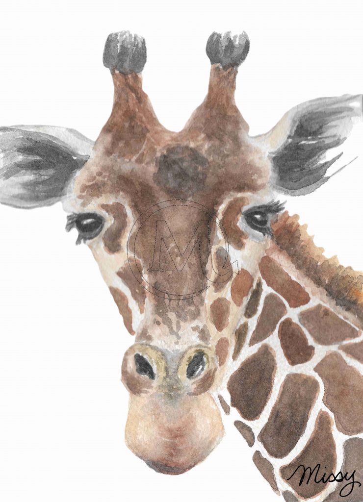 Jeffery the giraffe