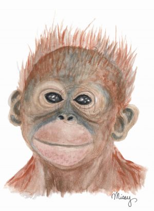 Little Arongunt the Orangutan