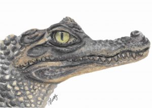 Gatorade the aligator