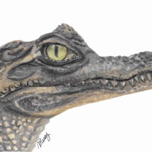 Gatorade the aligator