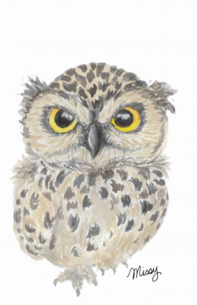 Whooty the owl