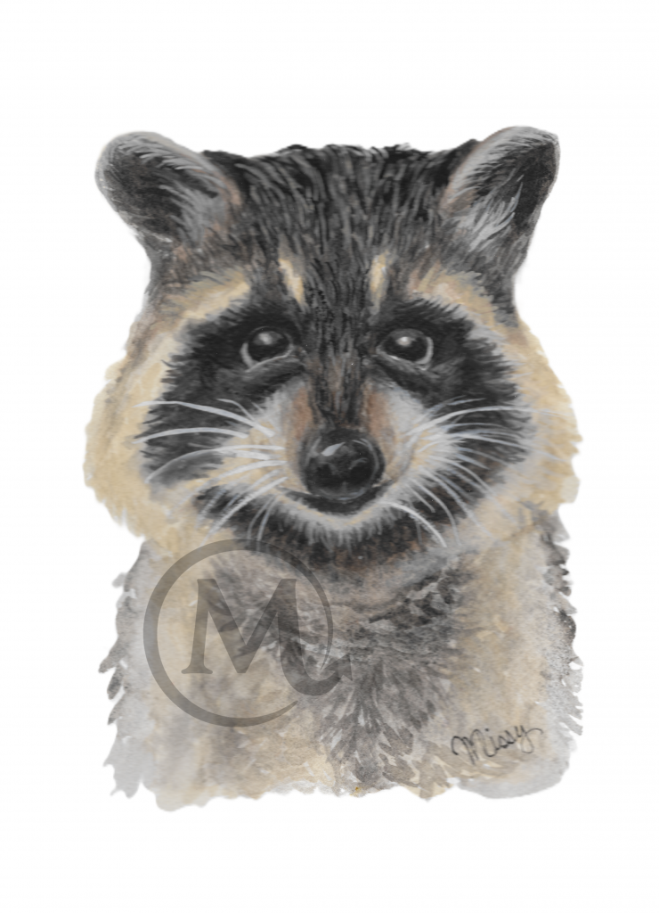 Remi the Raccoon