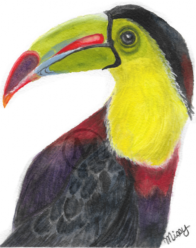 Sam the Toucan
