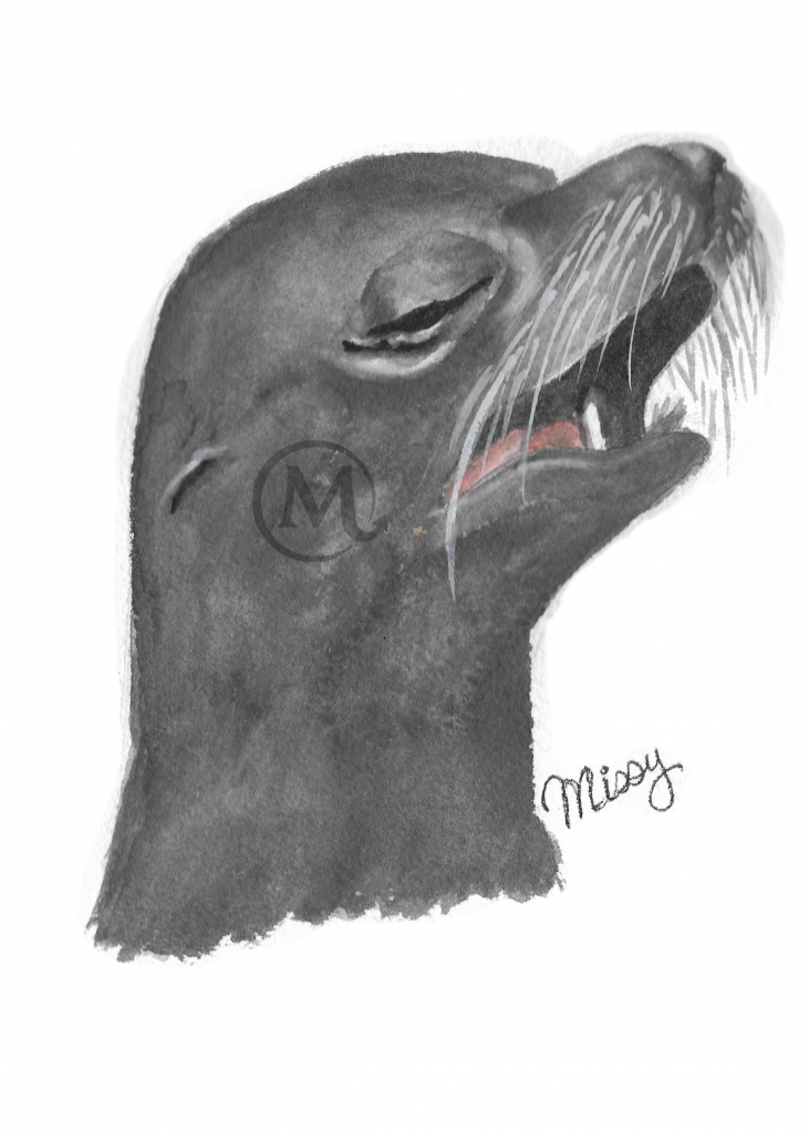 Dave the SeaLion