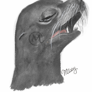 Dave the SeaLion