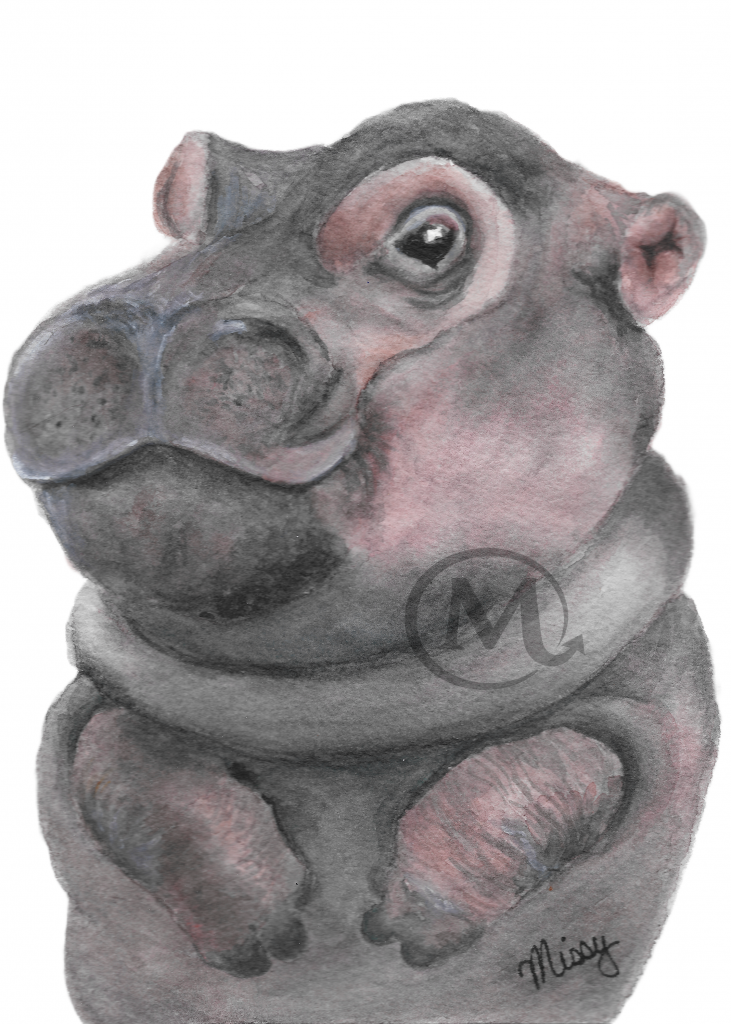 Fiona the Hippo
