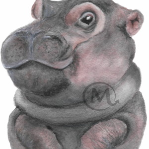 Fiona the Hippo