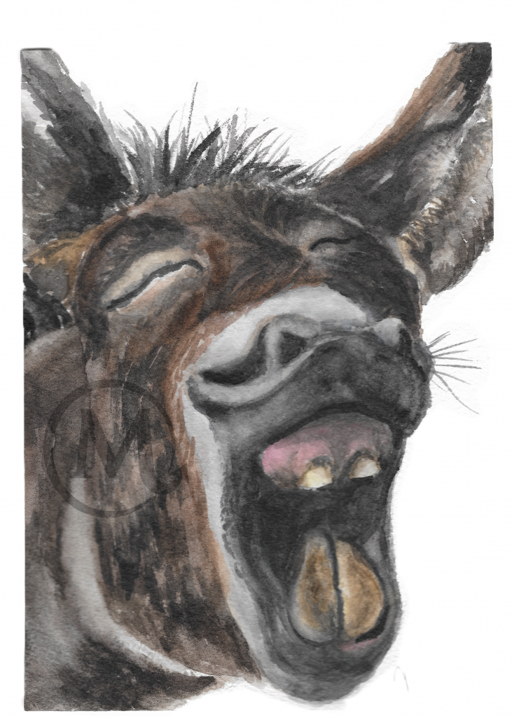 Ed the Donkey