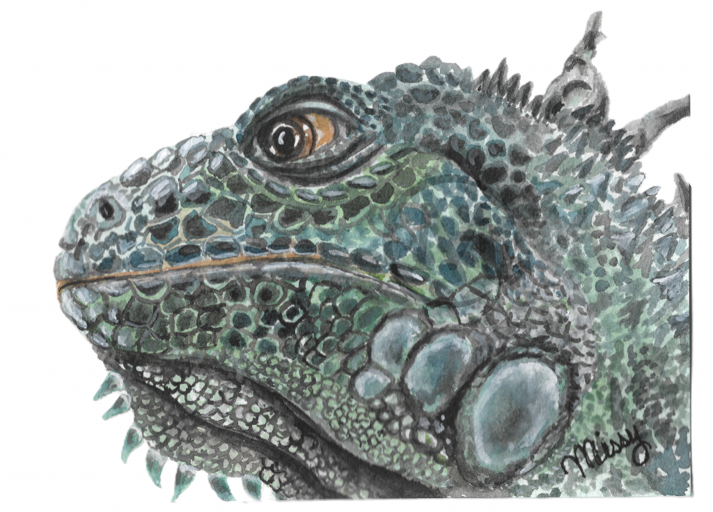 Gepeto the Iguana