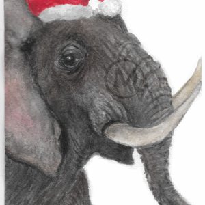 Nicholas the Elephant