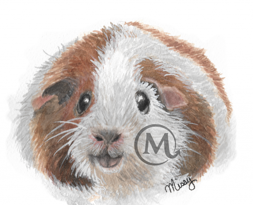 Potato the Guinea Pig