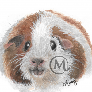 Potato the Guinea Pig