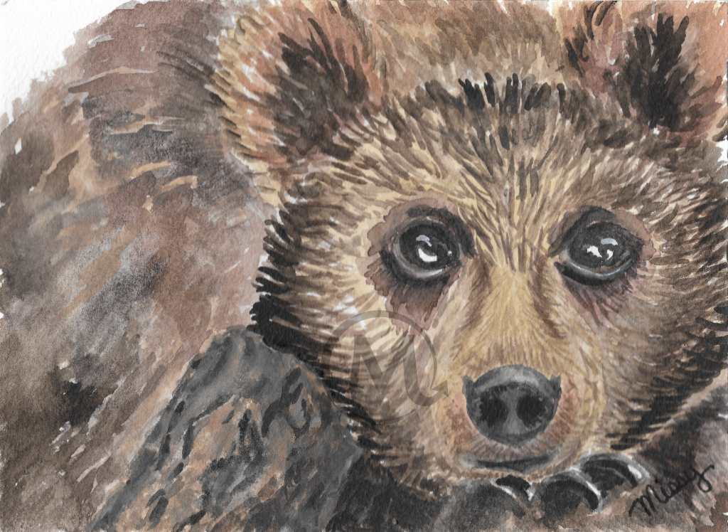 Bartholomew the Bear