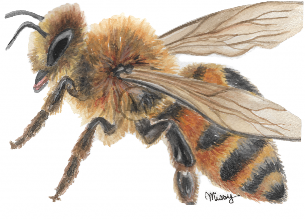 Book Bee