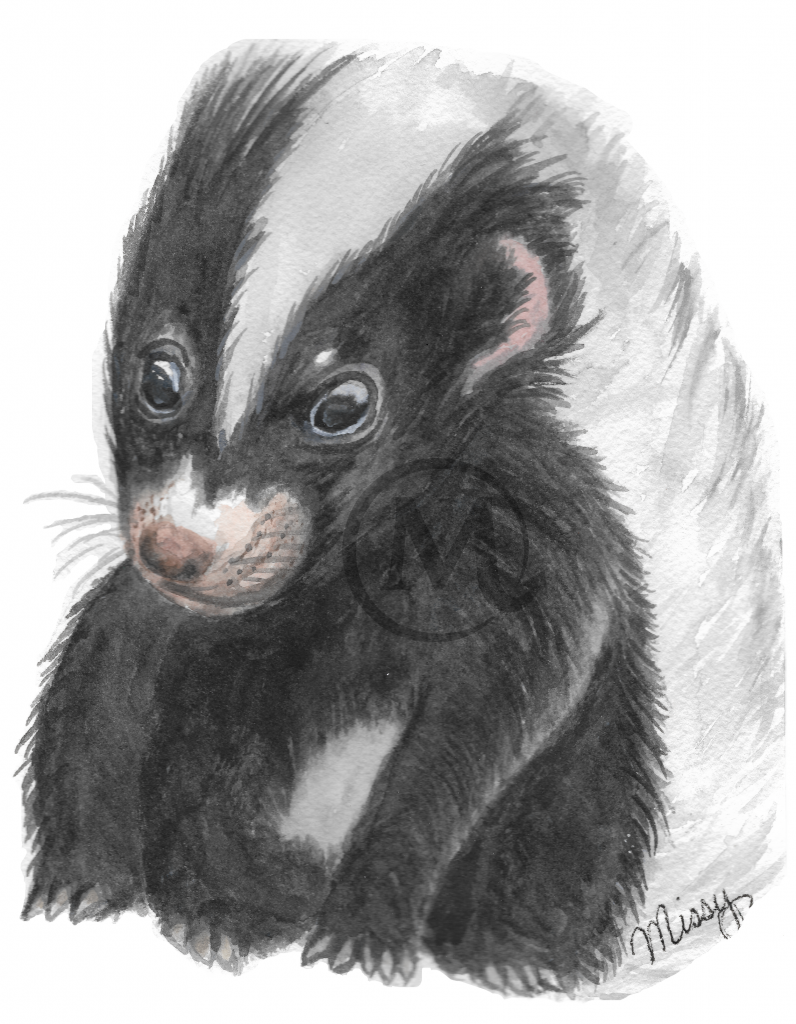 Book the Skunk