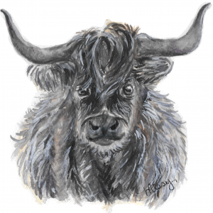 Moochacho the Highland Cow