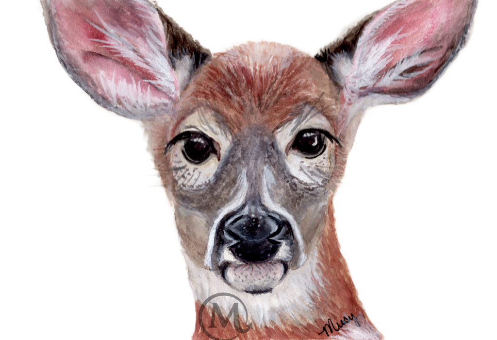 OhDeer the Deer