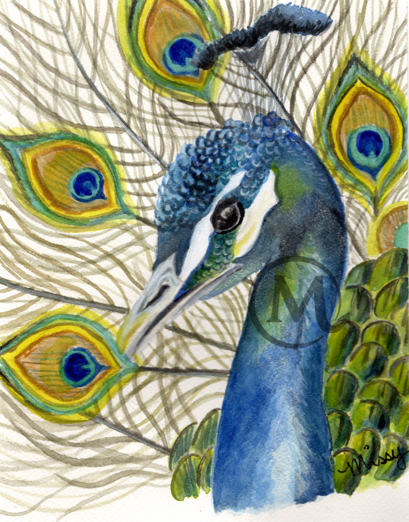 Mich the Peacock