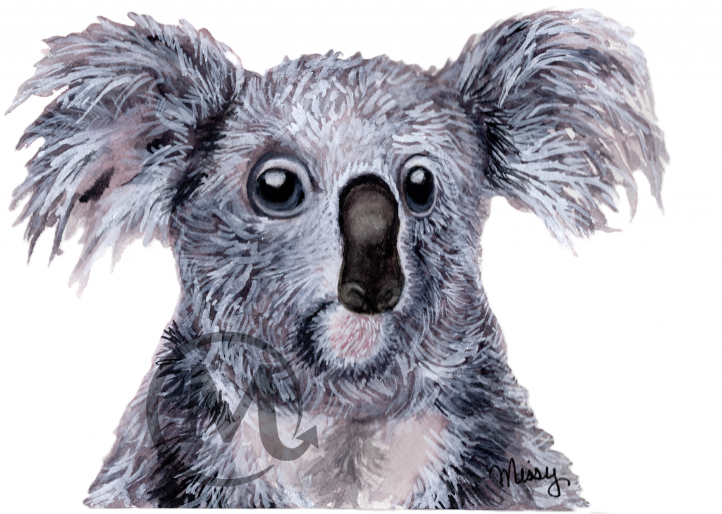 Barney the Koala