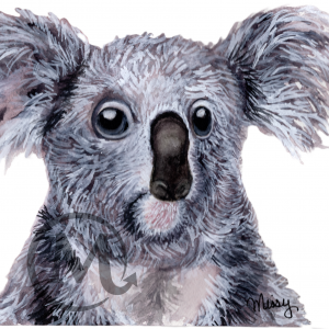 Barney the Koala