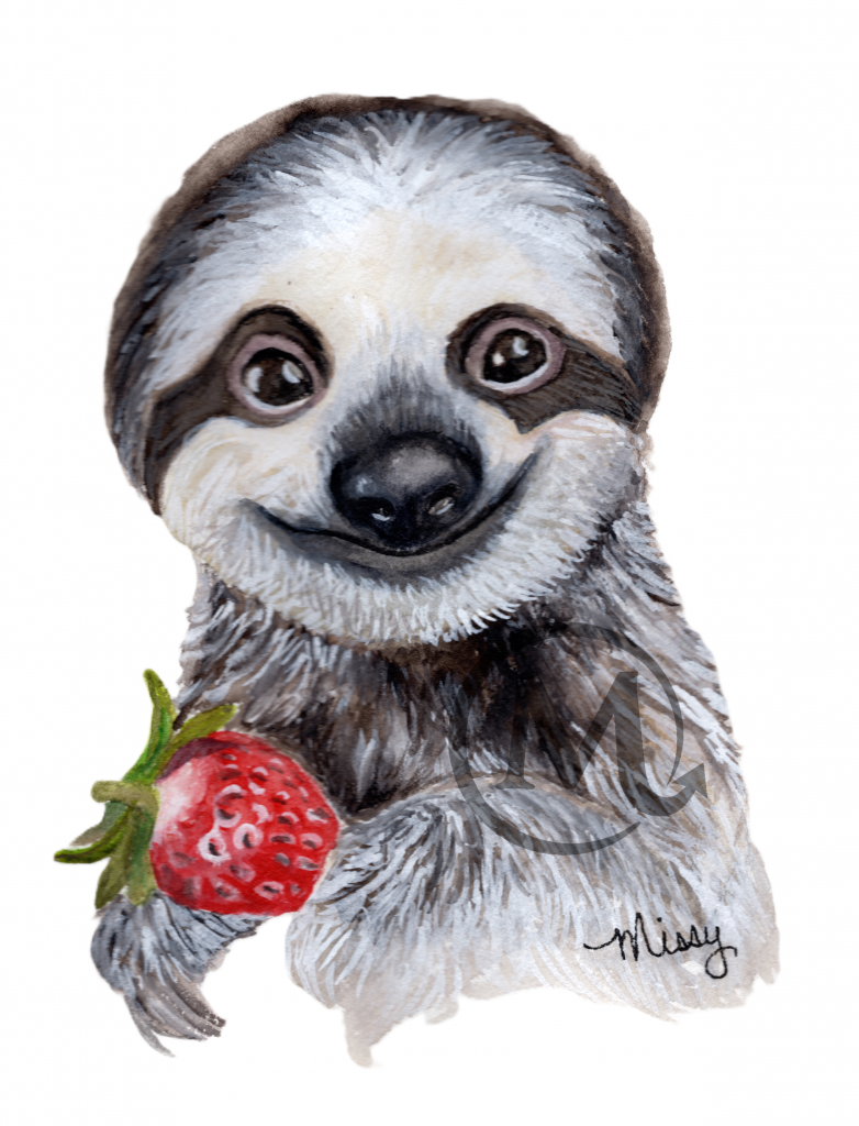 Molasses the Sloth