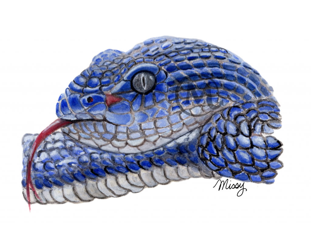 Merlin the Snake