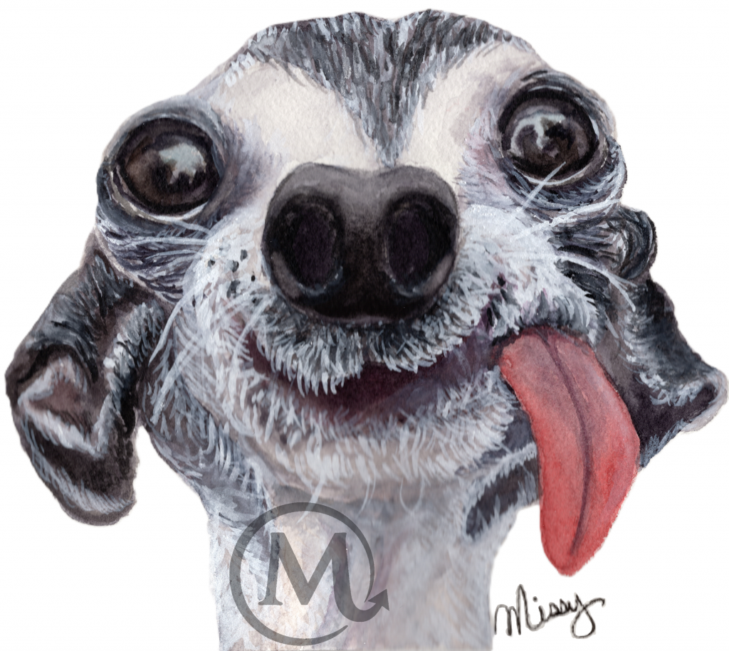 Pickles the Dog