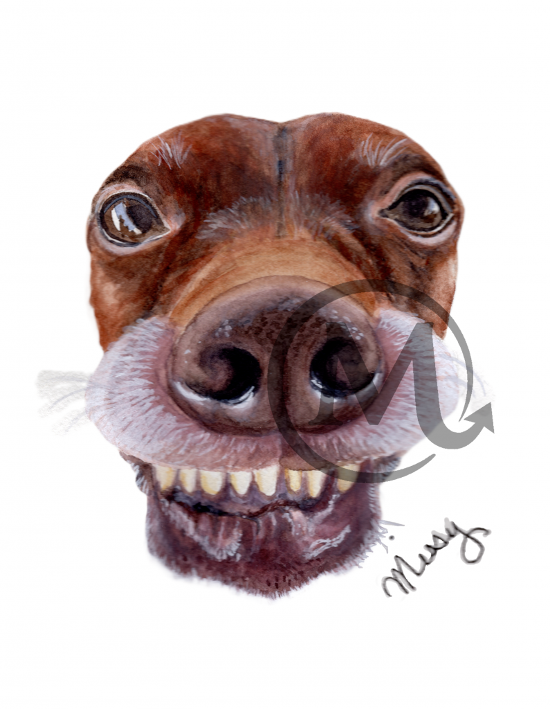 Opie the Dog