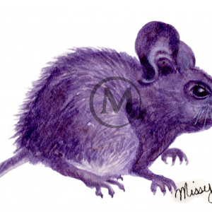 Sir Whiskleton the Brave