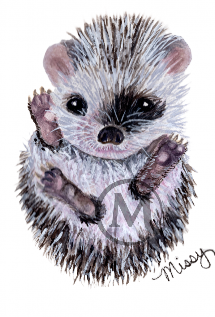 Henrietta the Hedgehog