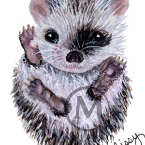 Henrietta the Hedgehog